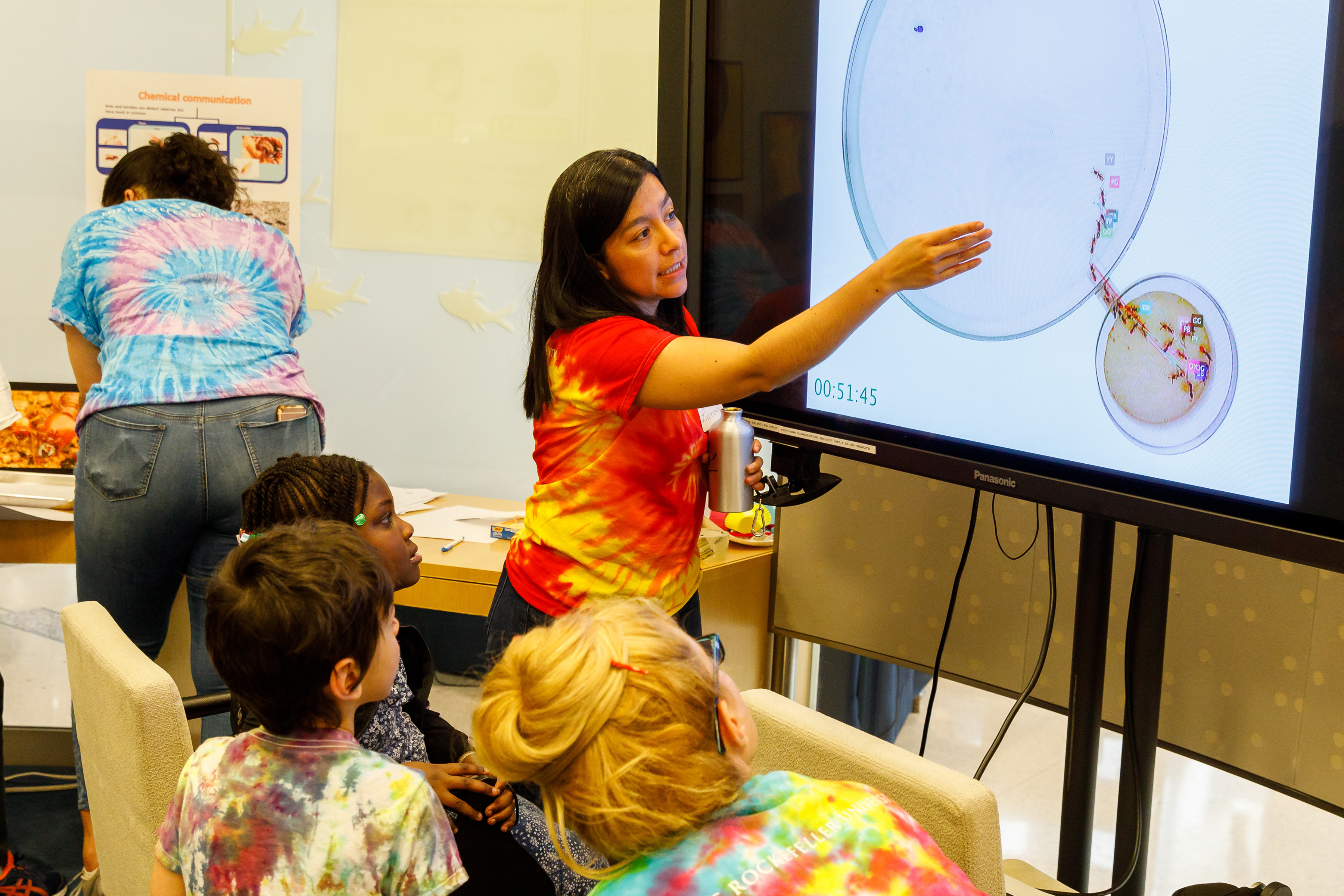 Observing how ants communicate with pheromones