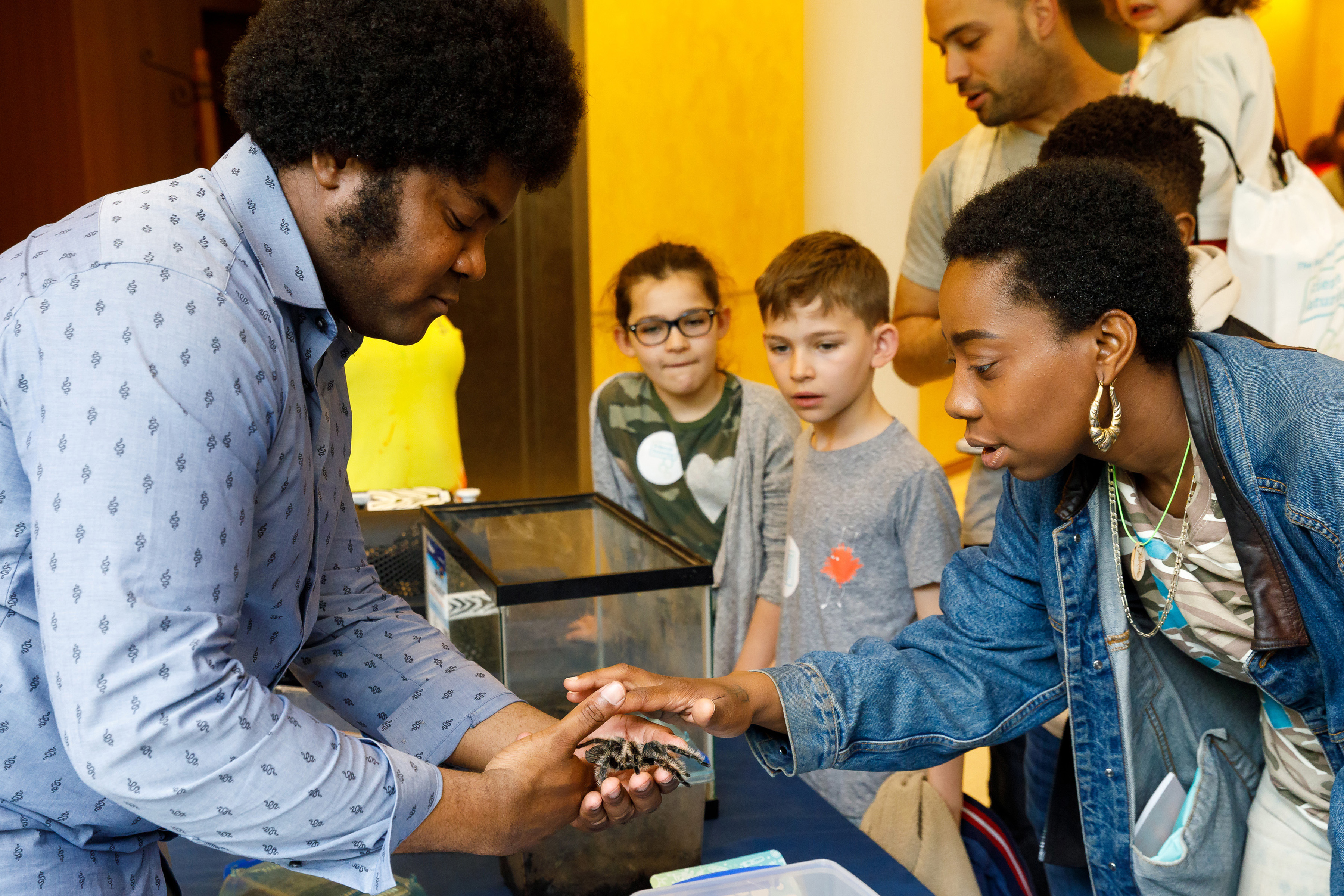 Examining a tarantula and learning about arachnids