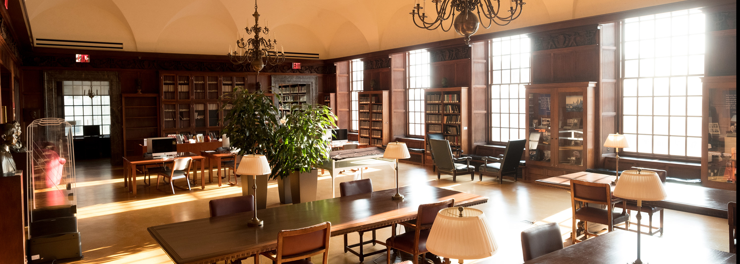 Library Photo