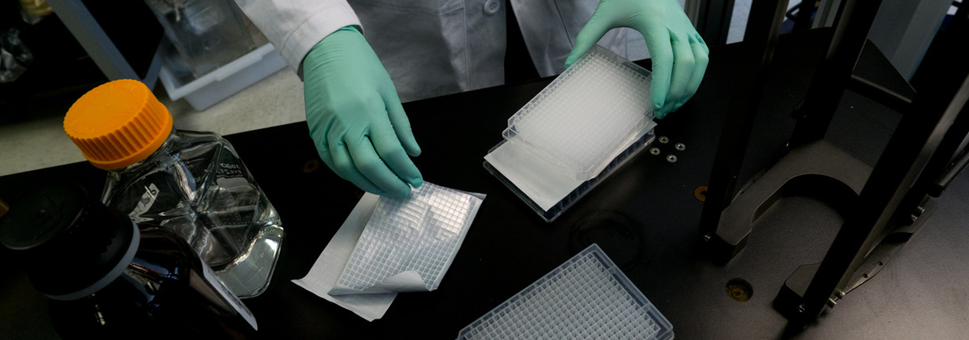 Scientist preparing samples in a laboratory