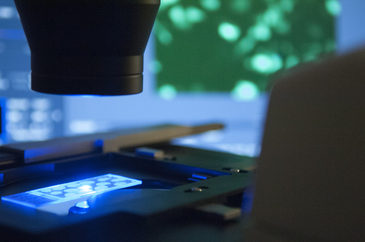 closeup of microscope and slide