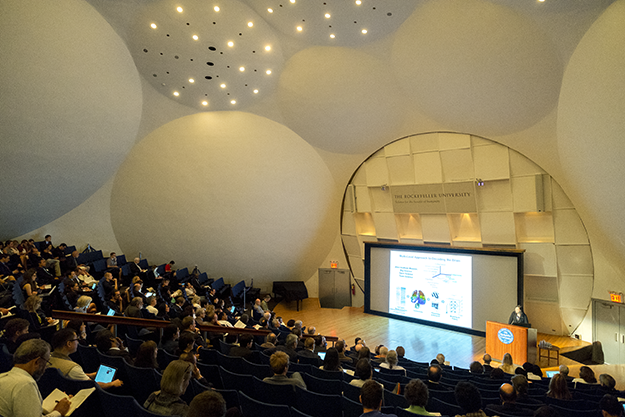 Brain projects event