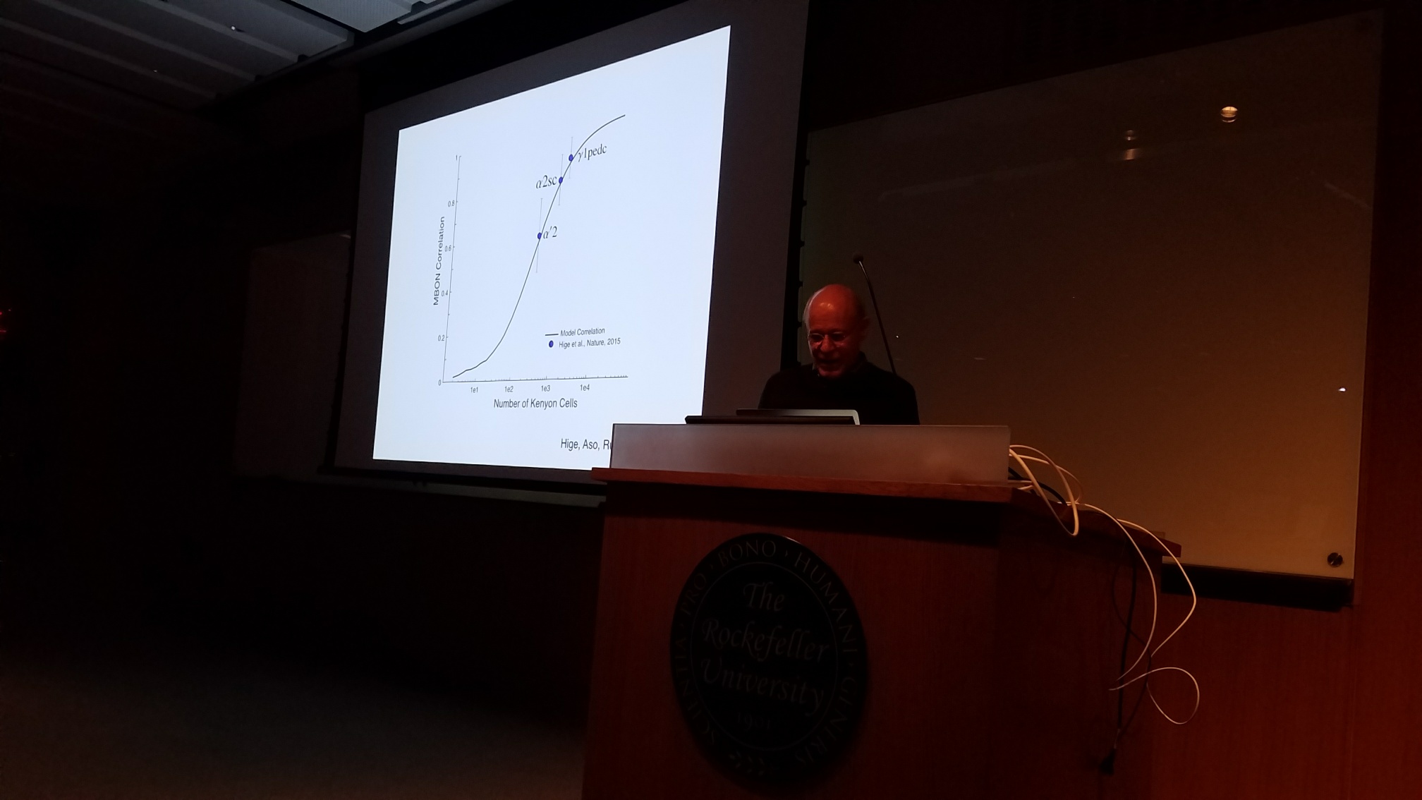Kavli Sense 2 Synapse talk