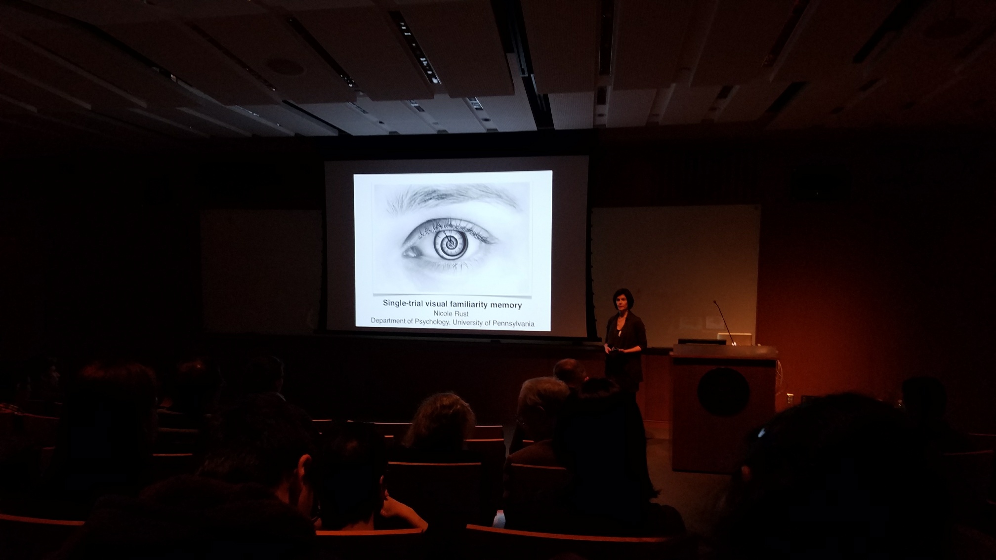 Kavli Sense 2 Synapse talk
