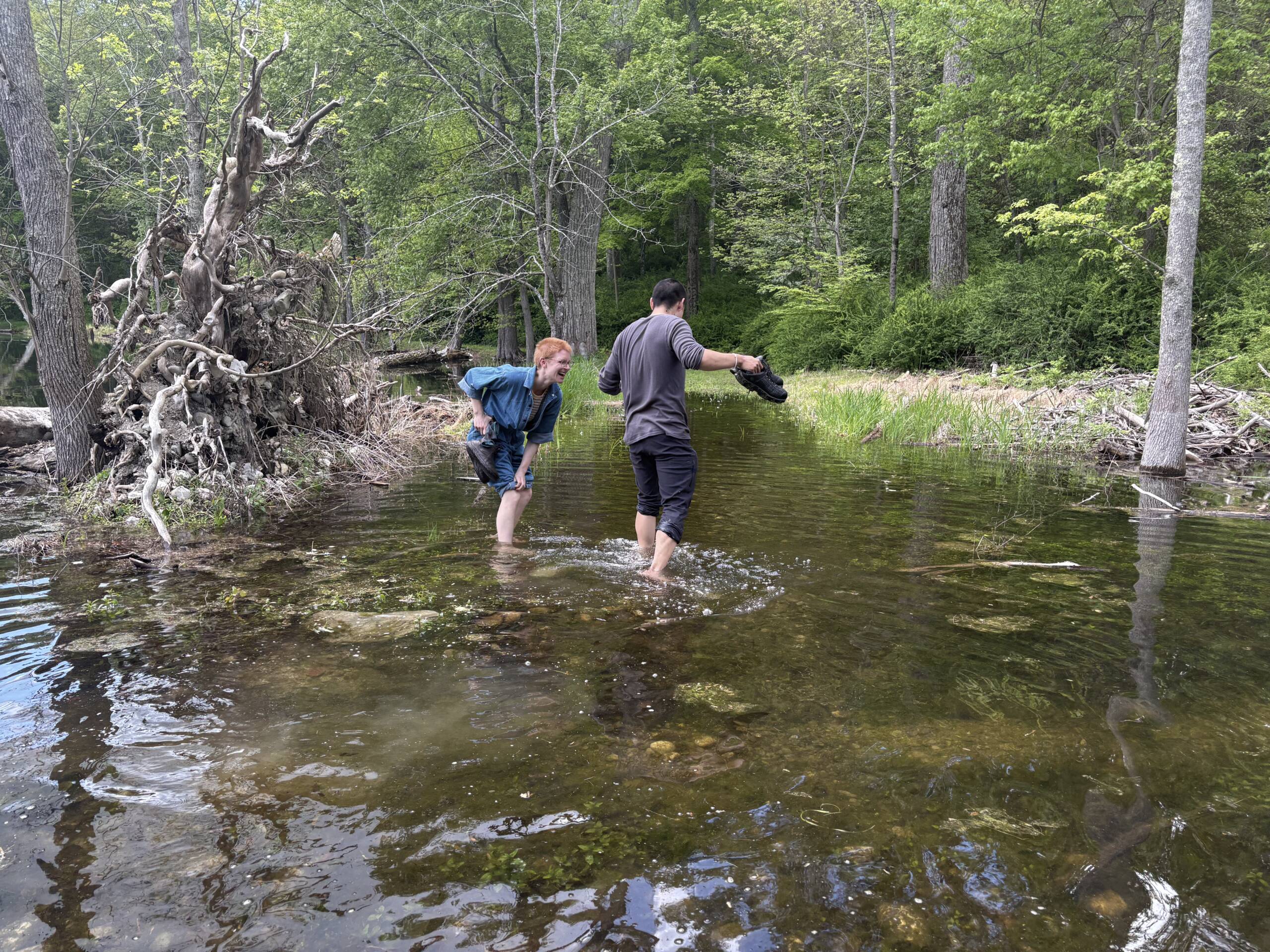 Lab trip to Millbrook NY