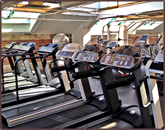 Treadmills in the fitness center